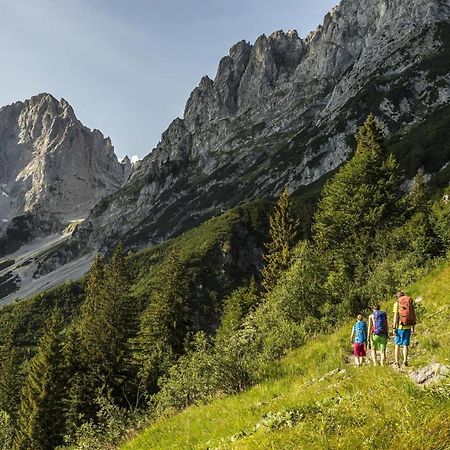 Trattenbachhof 凯撒山麓舍福 外观 照片