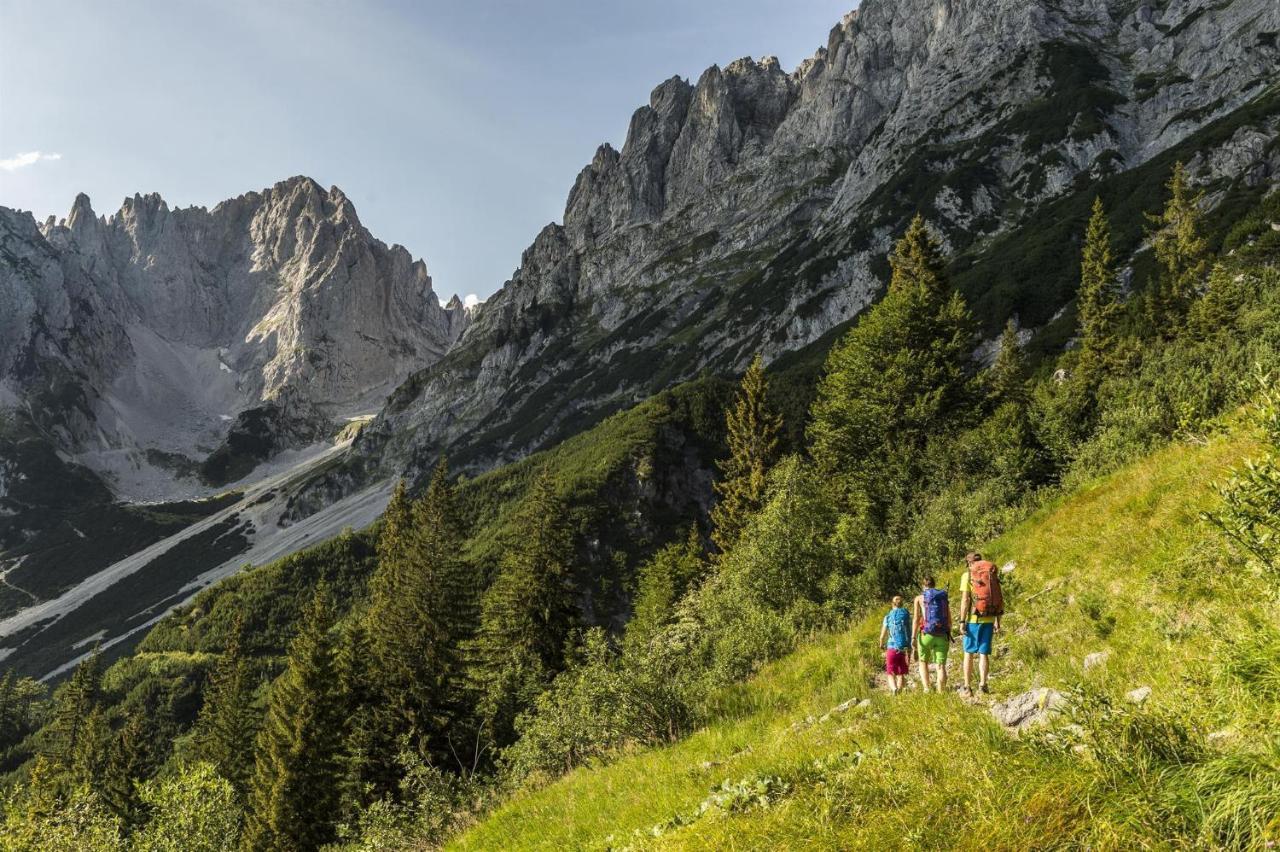 Trattenbachhof 凯撒山麓舍福 外观 照片
